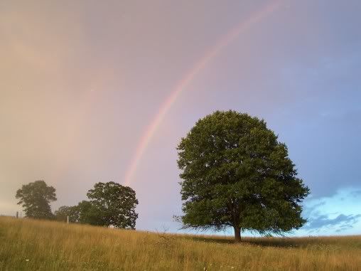 Got my camera working........ - Goats