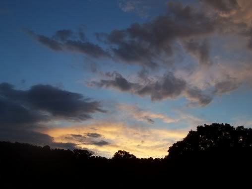 Got my camera working........ - Goats