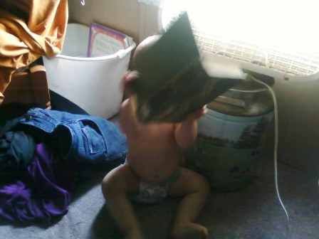 Ok, so I finally took my camera out...... - Goats