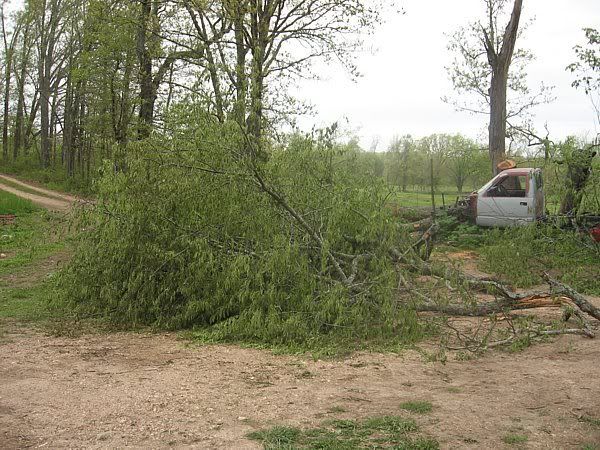 A few pics from today - Goats