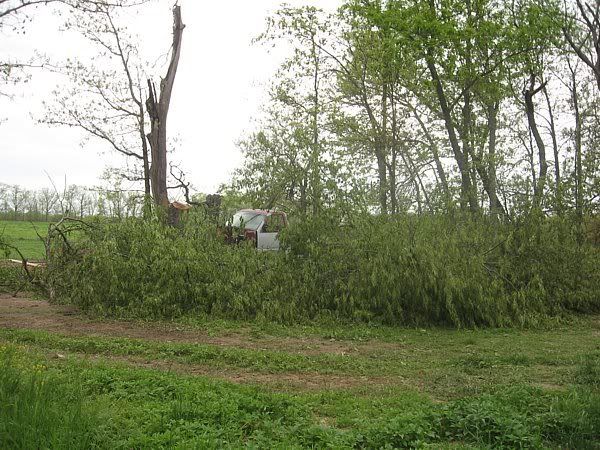 A few pics from today - Goats