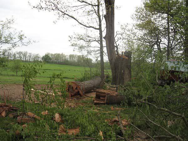 A few pics from today - Goats