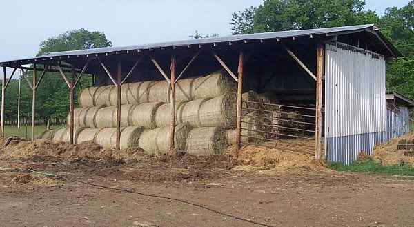 ASAP.Good Goat Hay Available *Today* only - Goats