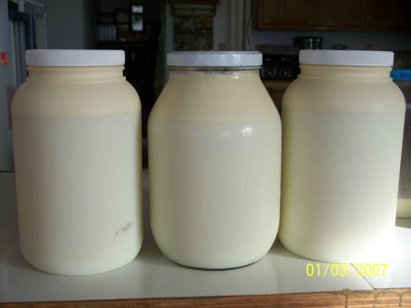 This is probably a dumb question ...but.... - Cattle