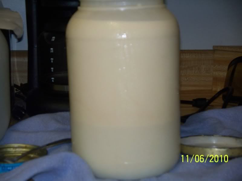 This is probably a dumb question ...but.... - Cattle