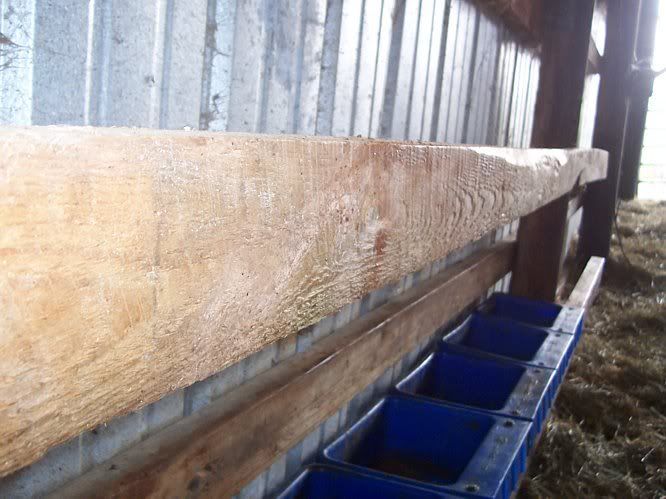 Where to buy supplies cheaply? - Homesteading Questions