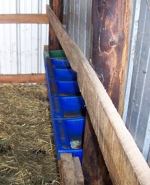 Where to buy supplies cheaply? - Homesteading Questions