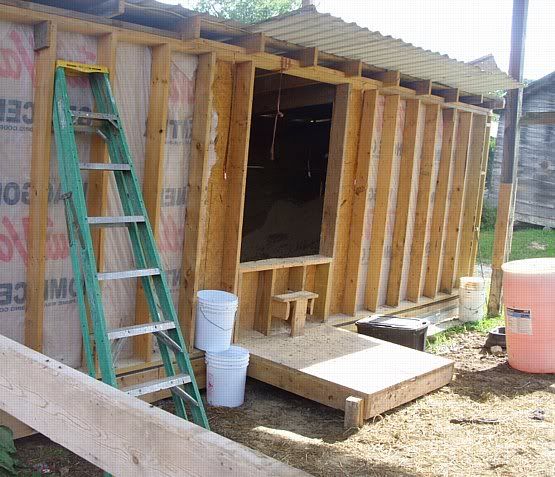 Feeding outside the barn - Cattle