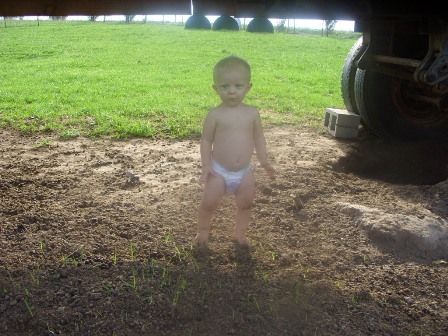 OT: You guessed it..... - Goats