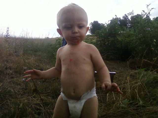 Homegrown Tomatoes!(Pics) - Goats