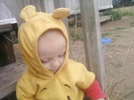 OT: You guessed it..... - Goats