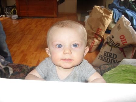 Ok, so I finally took my camera out...... - Goats