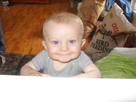 Ok, so I finally took my camera out...... - Goats