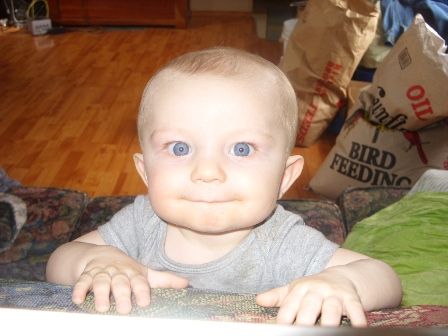 Ok, so I finally took my camera out...... - Goats