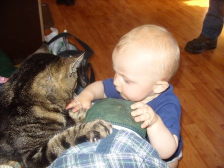 Ok, so I finally took my camera out...... - Goats