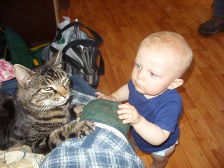 Ok, so I finally took my camera out...... - Goats