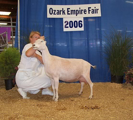 A few kids left..... - Goats