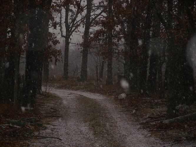 Weather change - Cattle