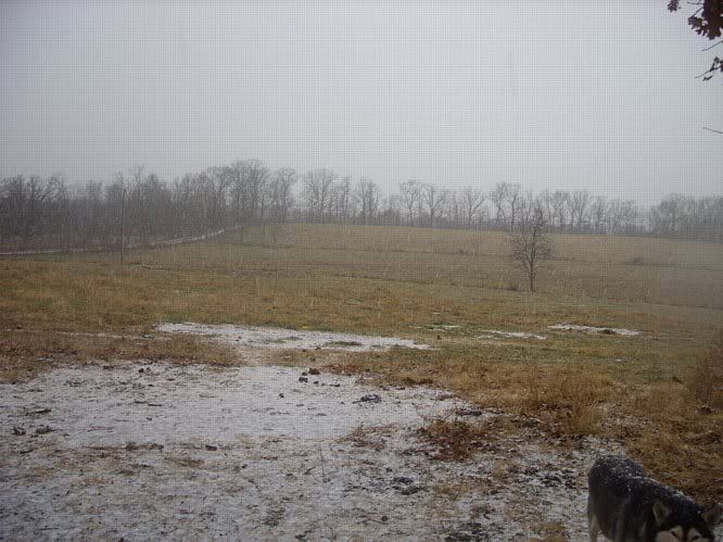 Weather change - Cattle