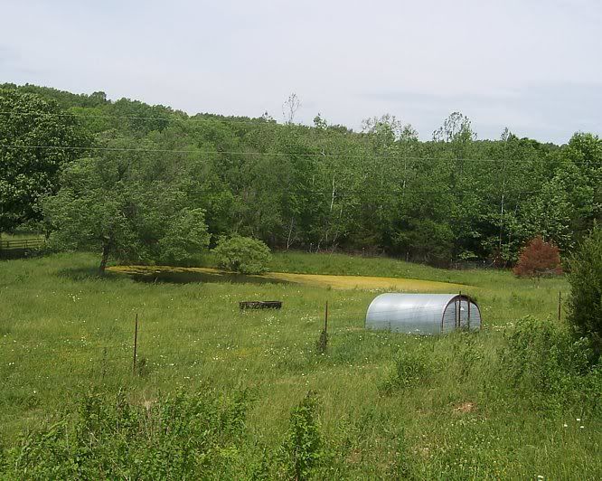 Will it ever rain again?? - Goats