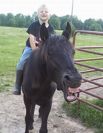 Horse or ATV? - Homesteading Questions