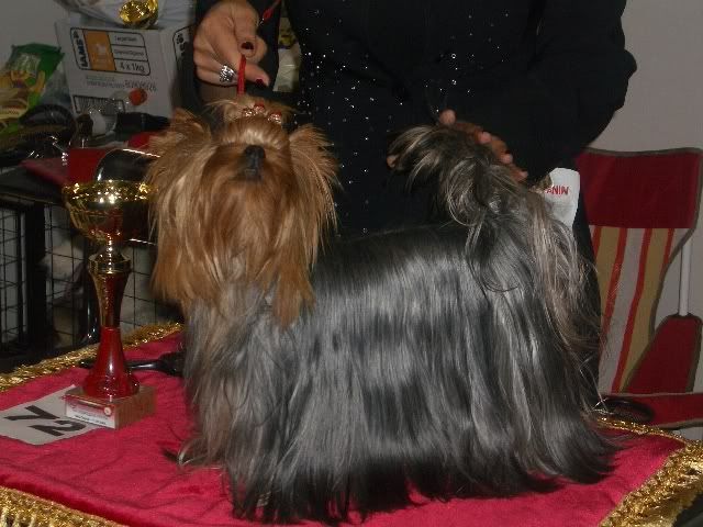 Качена снимка