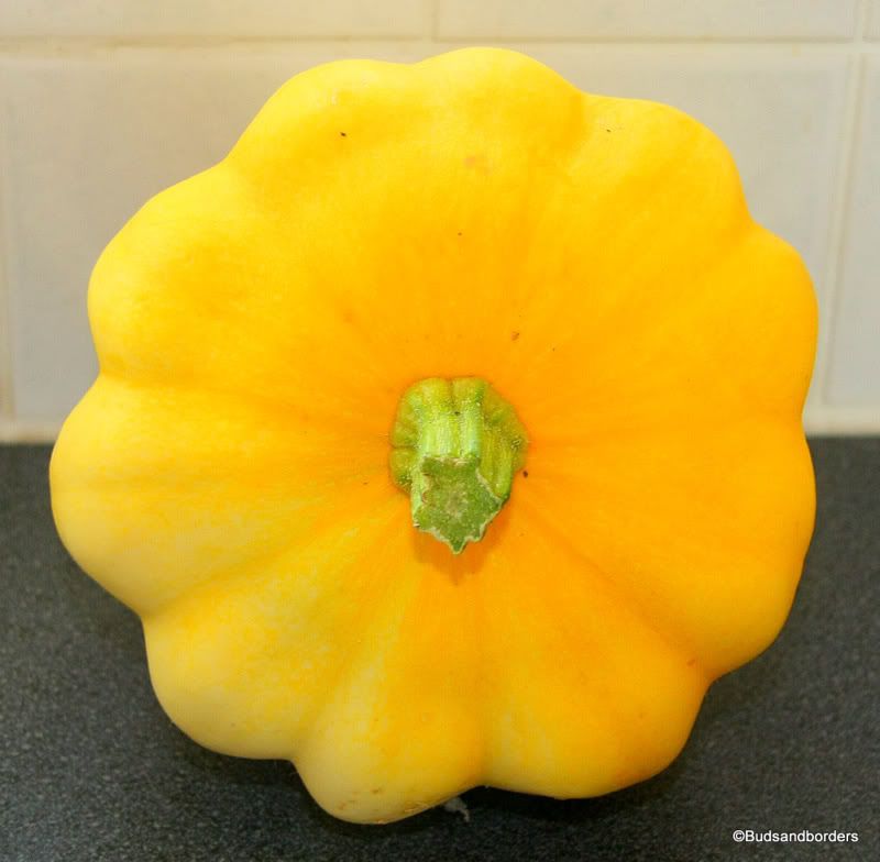 squash