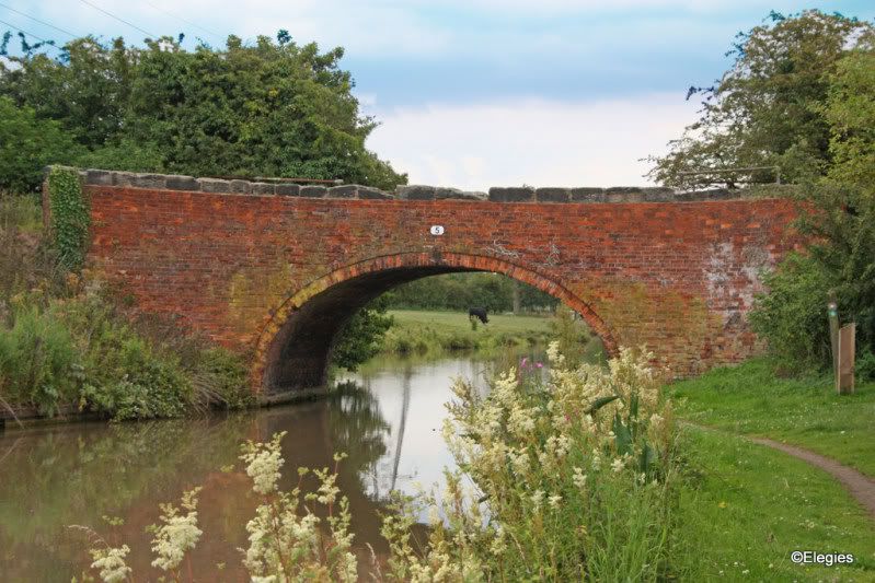 Oxfordshire Canal