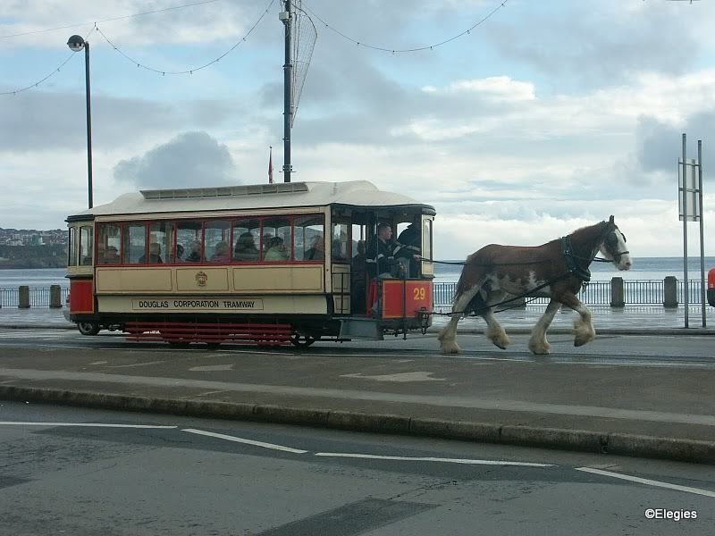 horse n cart