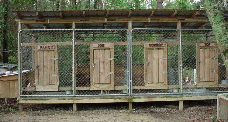 The American Beagler Forum • View topic - Above Ground Kennel 