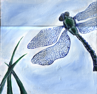dragonfly2.png