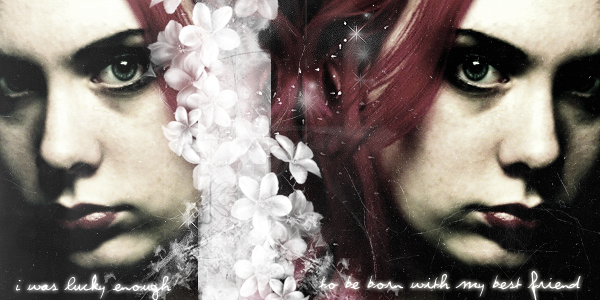 twins-header.png