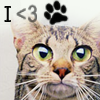 iheartpaw.png