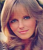 photo Cheryl-Tiegs-Revlon-72-640x740_zpso4vqwy8i.jpg