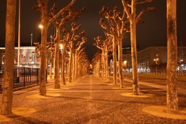 IMAGE: http://i9.photobucket.com/albums/a65/emendez/IMG_1981.jpg