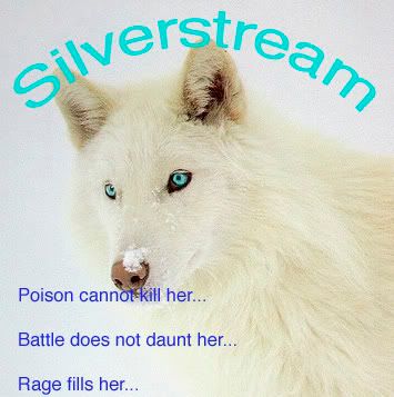 silverstream~Shadowstar~Raven Avatar