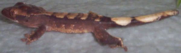 000_2045.jpg