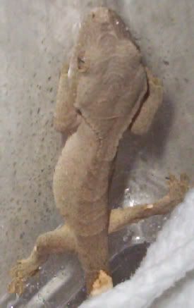 000_2127b.jpg