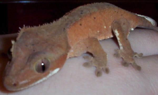 000_2165_1_19.jpg