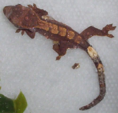 000_2387.jpg