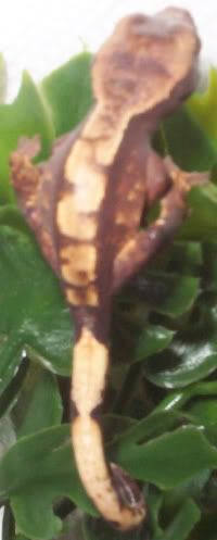 000_2388.jpg