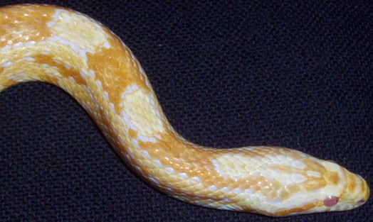 000_2717.jpg