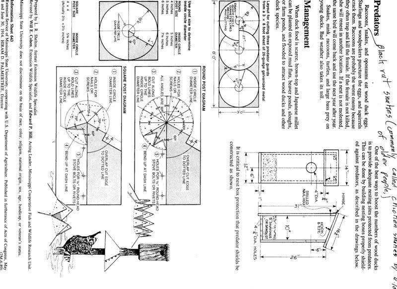 Wood Duck Box Time Refuge Forums