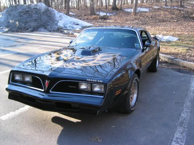 Large2005-7-227820FIREBIRD.jpg