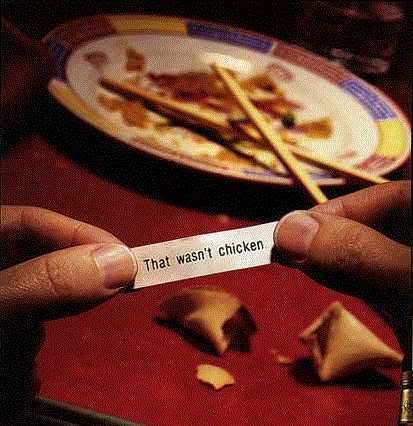 fortune cookie Pictures, Images and Photos