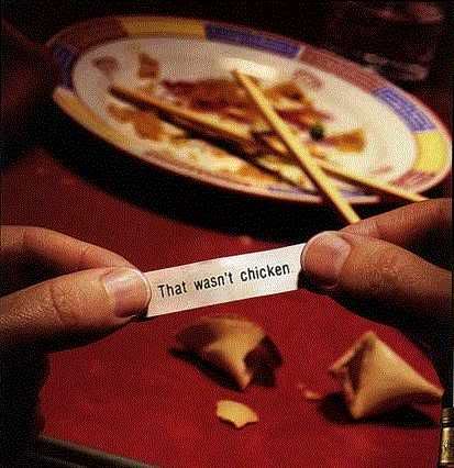 fortune cookie Pictures 