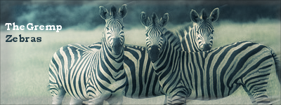 Zebras.png