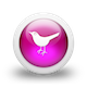  photo 108353-3d-glossy-pink-orb-icon-social-media-logos-twitter-bird2-1-1.png