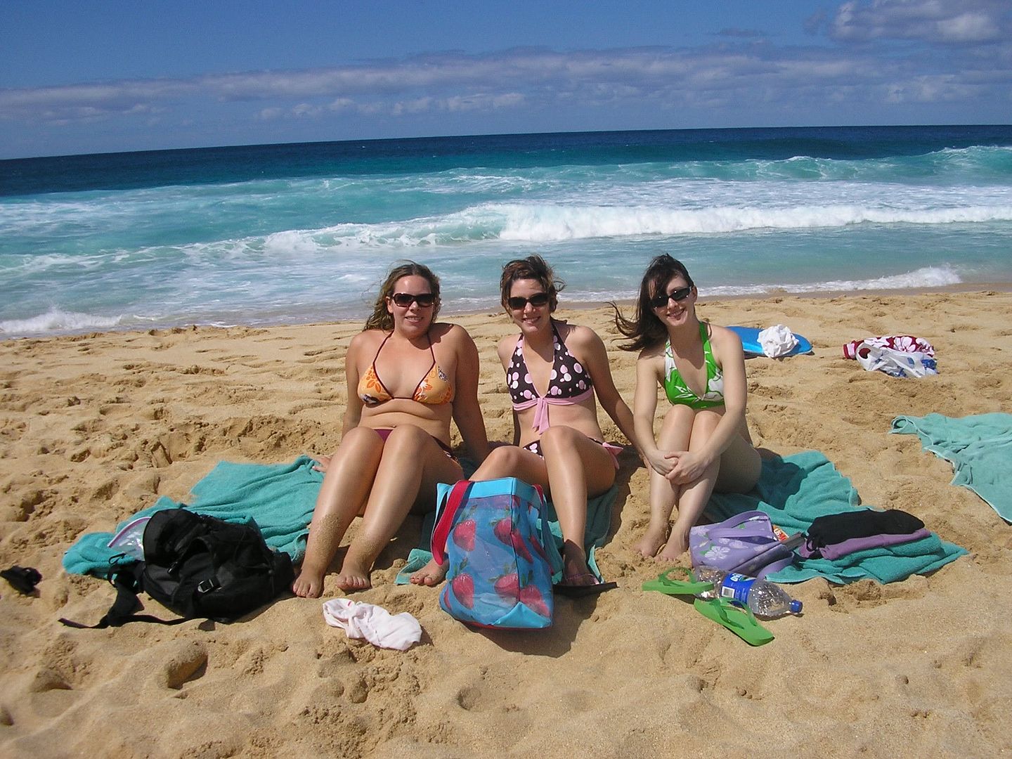 4fbe.jpg Beach bunnies image by bethylou10