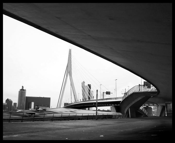 rotterdambridge.jpg